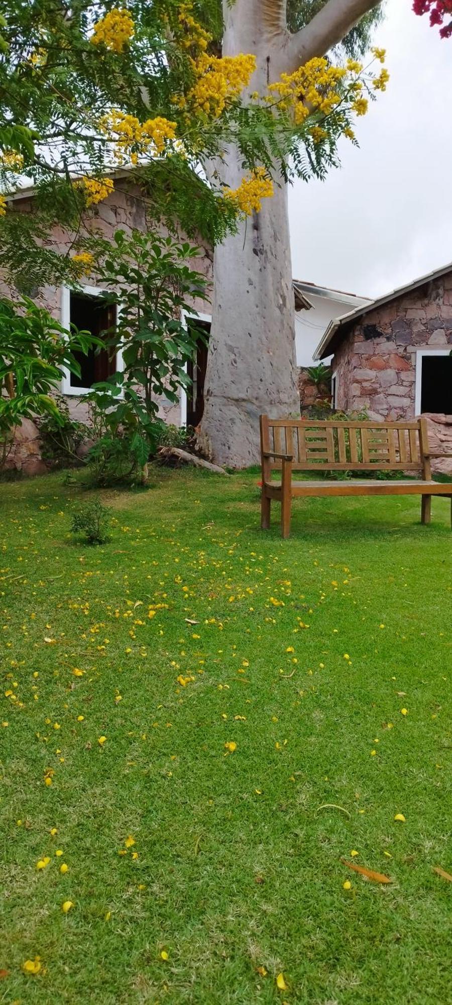 Oforasteiro Villa Mucugê Exteriör bild